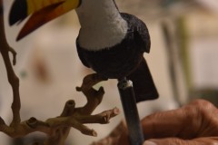 AMasterTeacher-finishingTouches-1b
