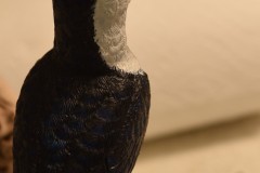 AMasterTeacher-finishingTouches-2b