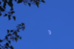 2014-09-02 (95)
