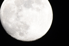 Full Moon - 5272018