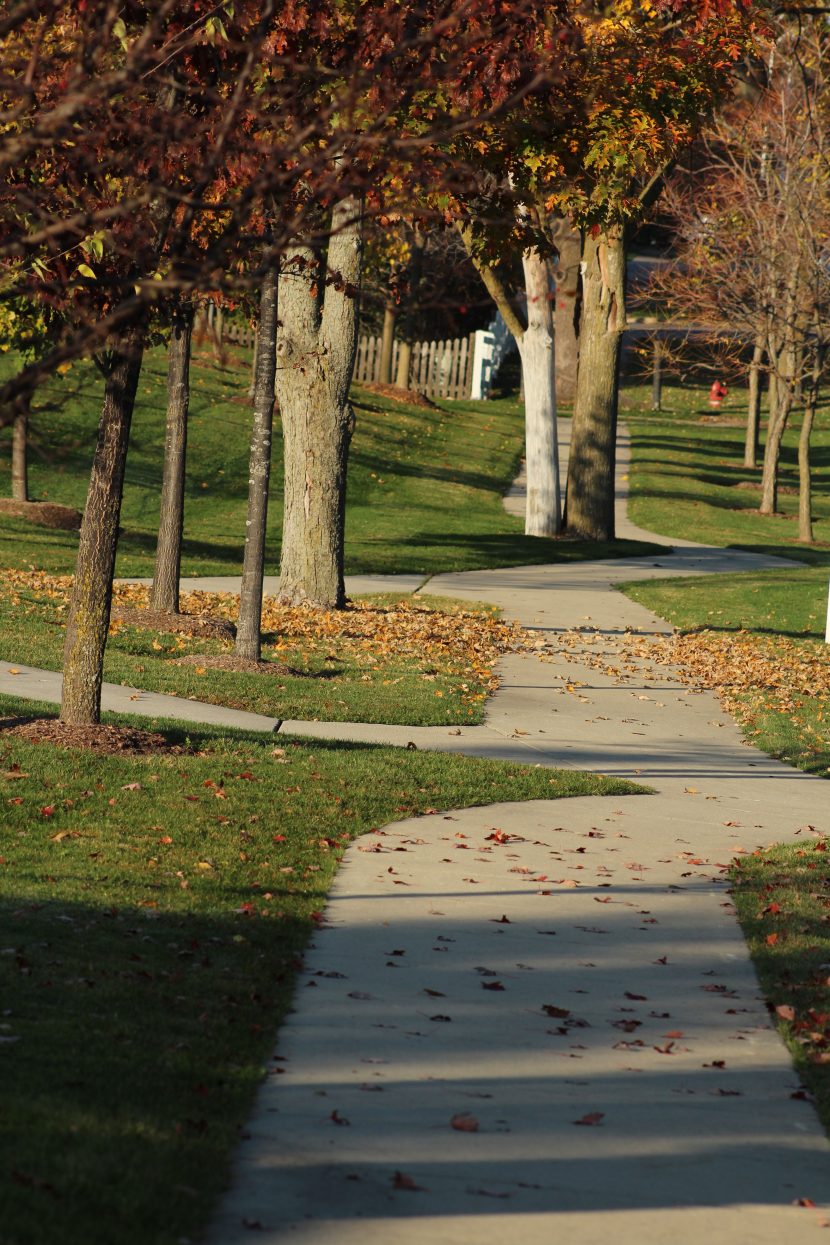 Paths