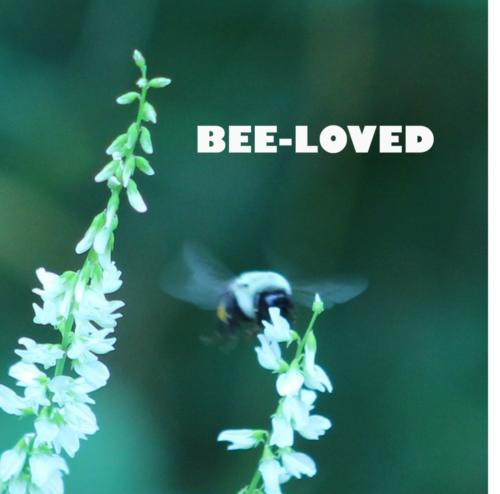 BEE-LOVED02