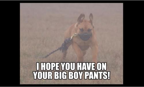 Big-Boy-Pants