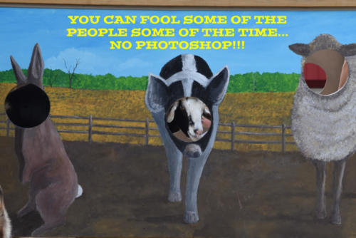 Goat-in-Pigs-Clothing-camouflage-1
