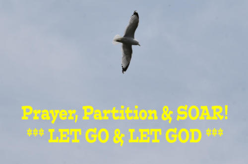 PrayerParticianAndSOAR