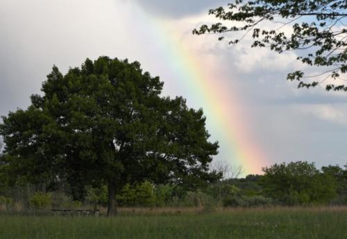 Life, Partially rainbow with a chance of sunshine and rain