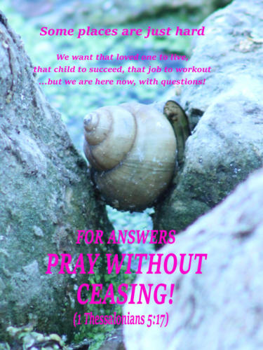 RockAndAHardPlace-PrayWithoutCeasing