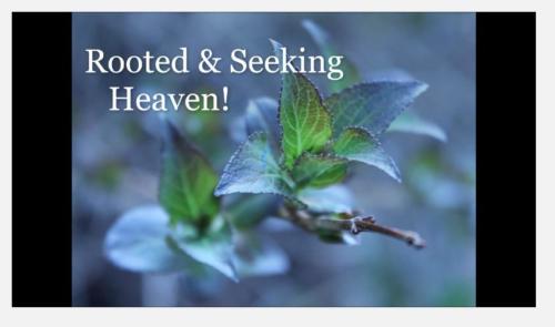 Rooted-and-Seeking-Heaven